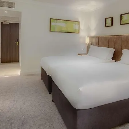 Hilton 호텔 4*