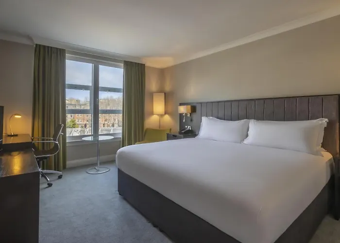 都柏林希尔顿酒店 4* 都柏林