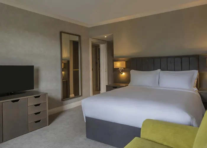 都柏林希尔顿酒店 酒店