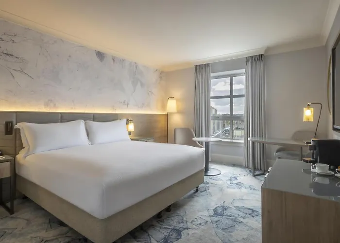 酒店 都柏林希尔顿酒店