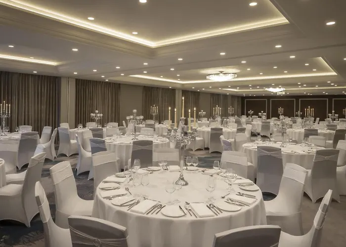 酒店 都柏林希尔顿酒店 4*